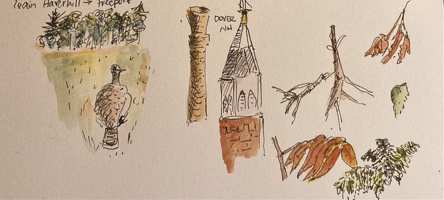 sketches in pen and wash of a train journey through Massachusetts, New Hampshire, and southern Maine