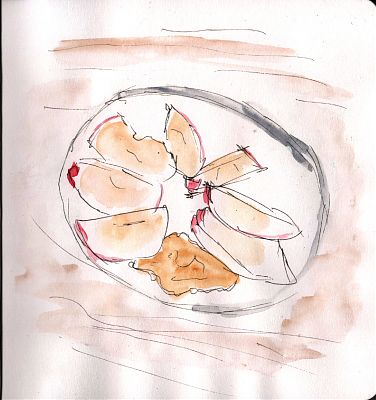 A square format color sketch of a plate with apple slices and a dab of honey on it. 