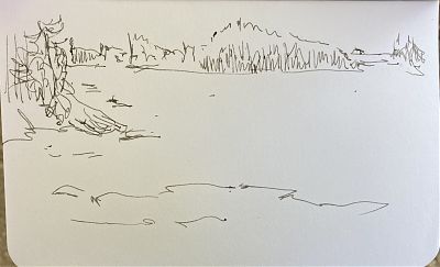 pen and ink drawing of Wolfe's Neck, Maine