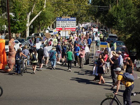 photo of marchers at the No Kings rally in Davis photo of marchers at the No Kings rally in Davis