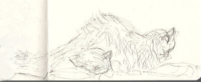 An sketch in gray ink of a cat seated horizontally with the head of another cat poking out below her belly.