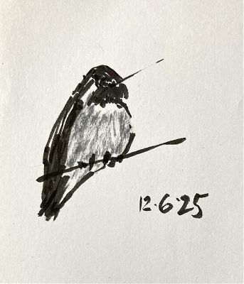 brush drawing of an Anna's hummingbird