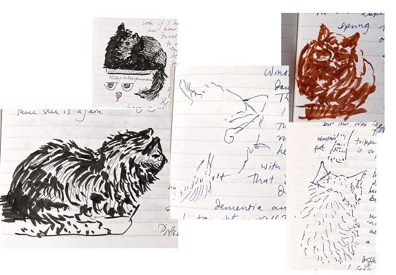 a group of pen and ink sketches of cats