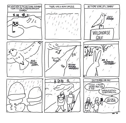 nine-panel comic of walking through a golf course in the rain seeing a few birds and a jackrabbit nine-panel comic of walking through a golf course in the rain seeing a few birds and a jackrabbit