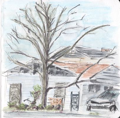 An ink and watercolor crayon sketch of a bare tree in front of a one-story house.