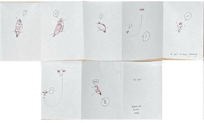 8-page zine in brown ink showing a male Anna's hummingbird displaying to a female who is not impressed