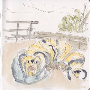 A pen and wash sketch of a sculpture of a yellow, white, and black caterpillar.