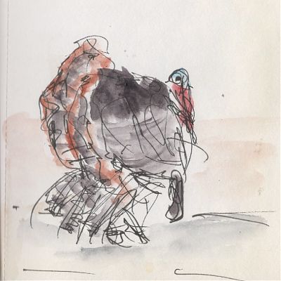 An ink and wash sketch of a displaying tom turkey.