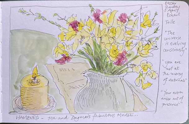 pen and wash drawing of daffodils and fuchsias pen and wash drawing of daffodils and fuchsias