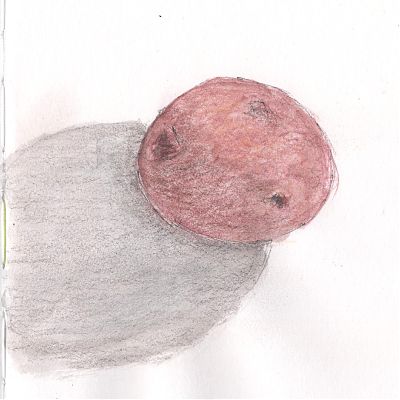 A colored pencil and wash sketch of a red potato.