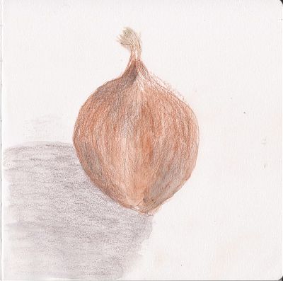 A colored pencil and watercolor wash sketch of a yellow onion.