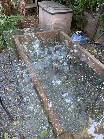 photo of an outdoor glass table with bird droppings on the surface
