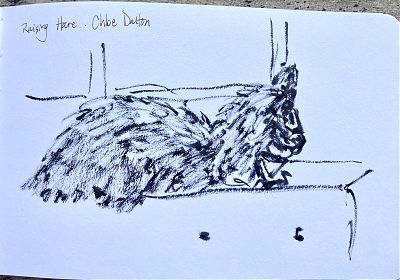 brushpen drawing of a cat on a sofa