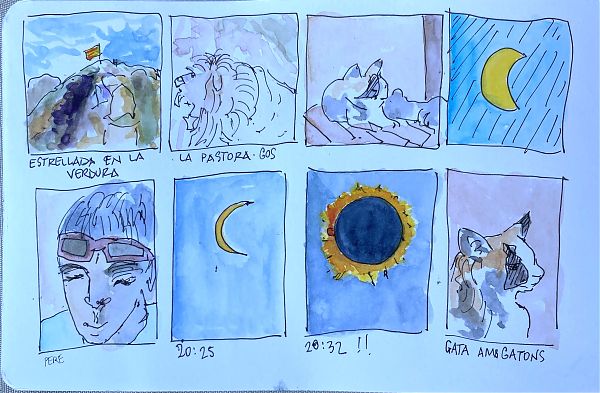 pen and wash drawings of cats, a total eclipse, a mountain with a flag on top
