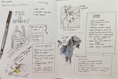 sketchnotes, double spread, of a presentation at the Wild Wonder Conference on Pen and ink
