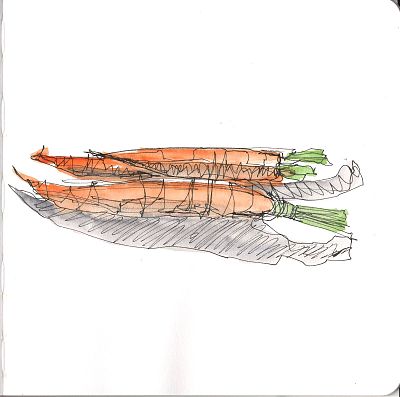A sketch in black ink and watercolor wash of three carrots. 